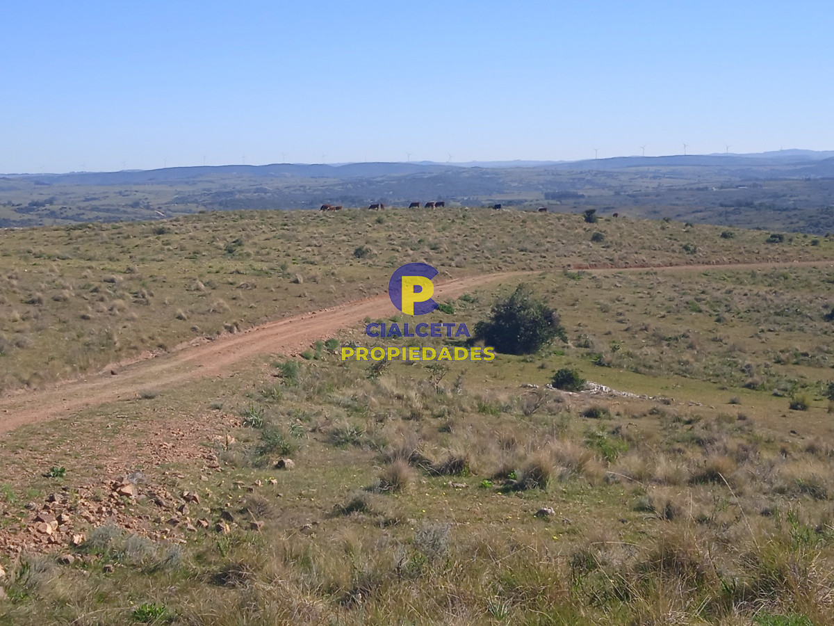 Campo Ref.203 - 5 hectáreas en las Cañas