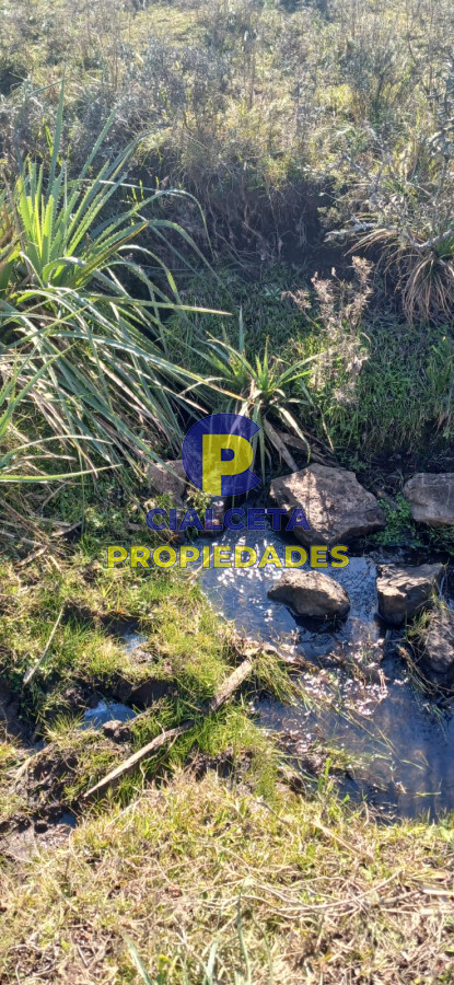 Campo Ref.475 - 386 hectáreas en Maldonado