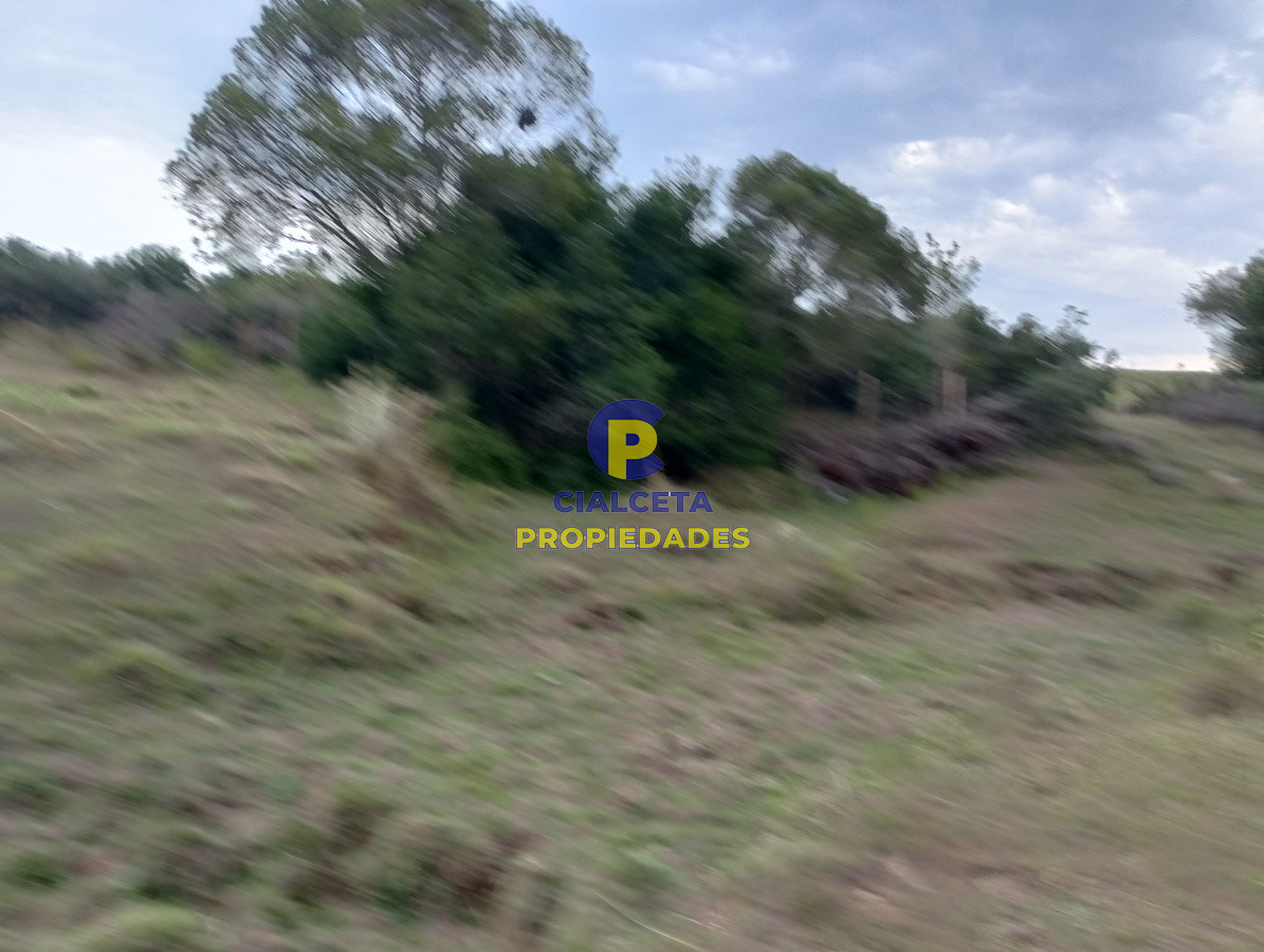 Campo Ref.183 - Chacras de 5 hectáreas