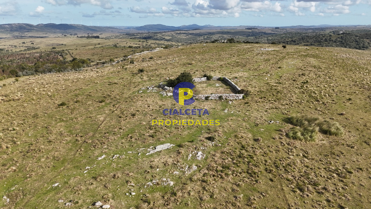 95 hectáreas en Maldonado con cañada - GoPunta - Portal Inmobiliario de Punta del Este - Maldonado