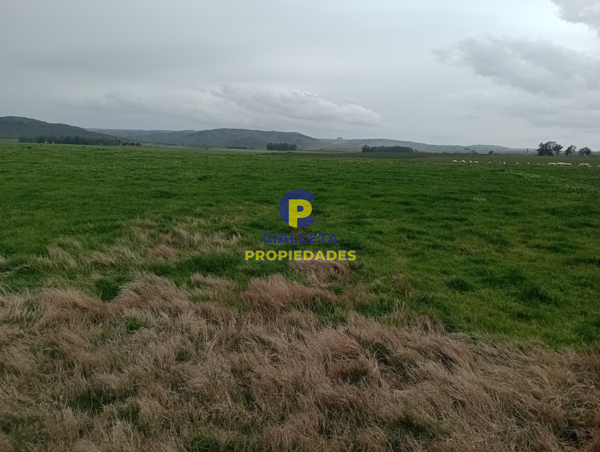 Campo Ref.505 - 110 hectáreas agrícolas ganaderas