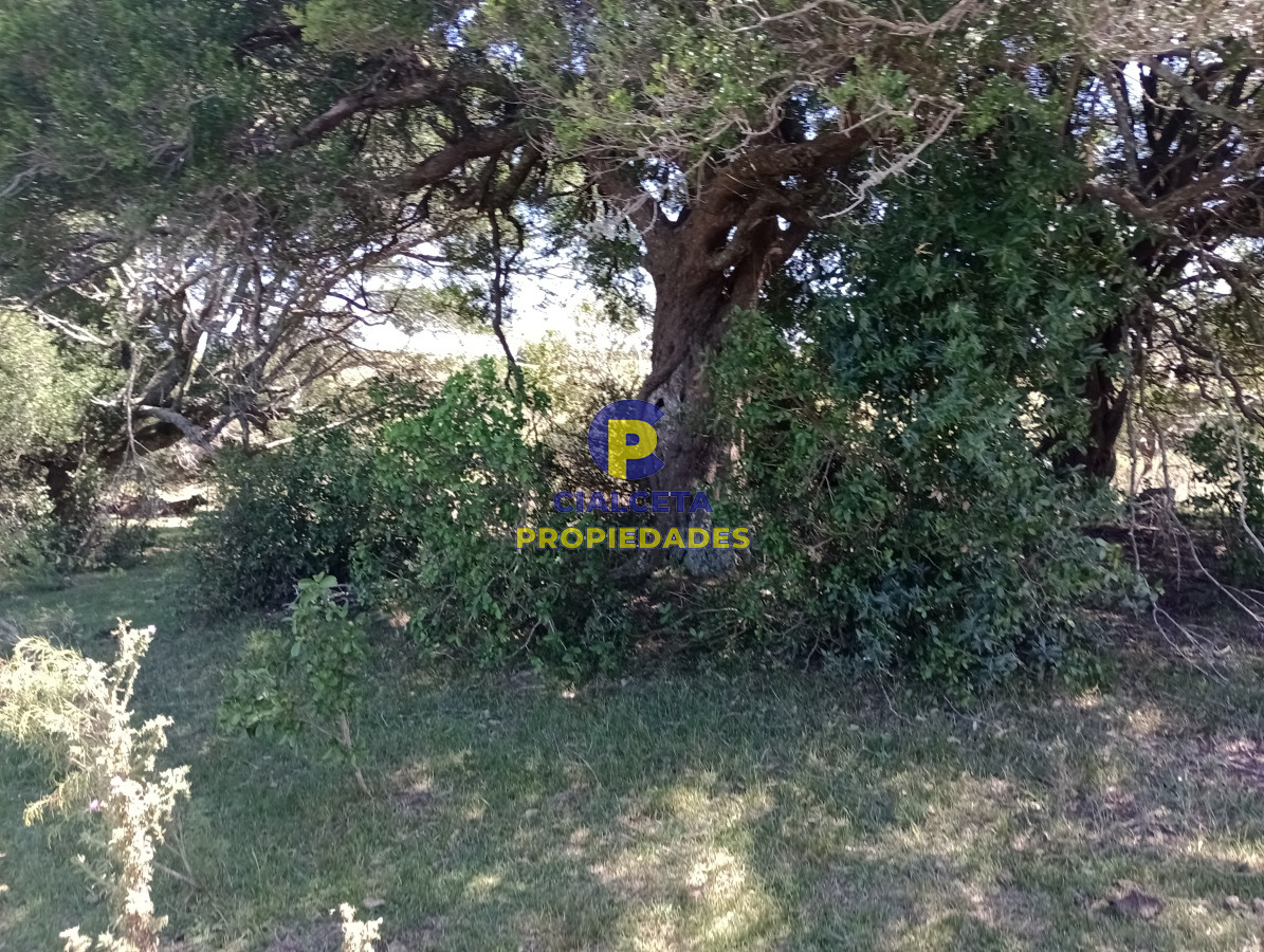 Campo Ref.539 - 92 hectáreas con casa reciclada, vista a las sierras, arroyo, monte