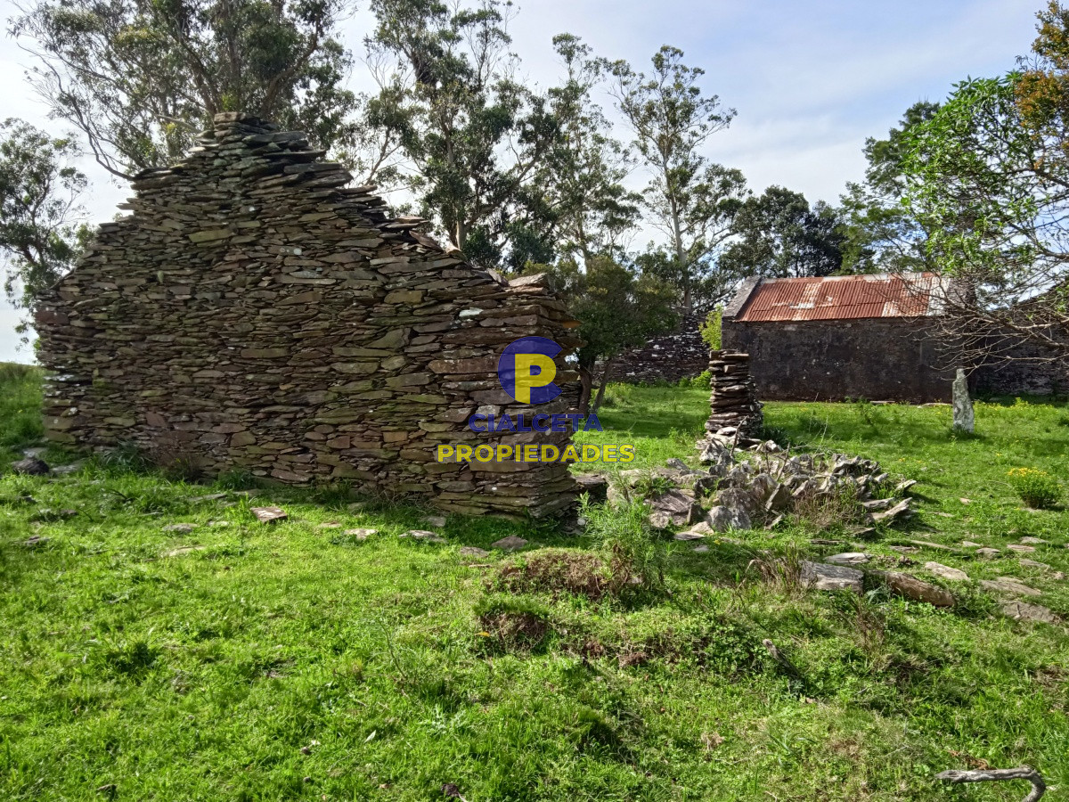 Campo Ref.106 - 79 hectáreas en Lavalleja, ideal fraccionamiento