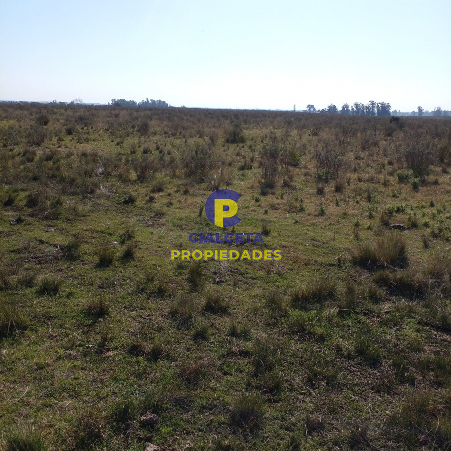 Campo Ref.97 - 130 hectáreas en Canelones