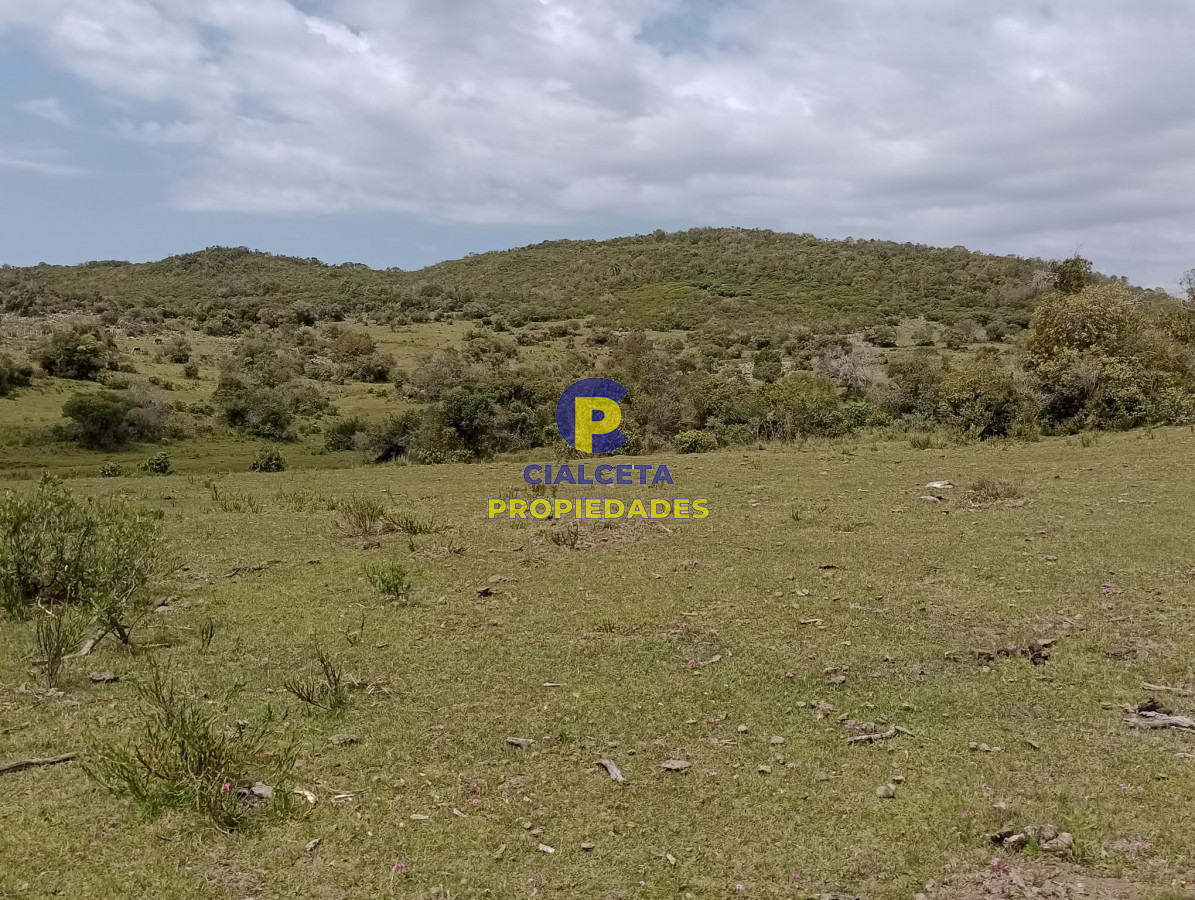 Campo Ref.317 - 55 hectáreas en Maldonado
