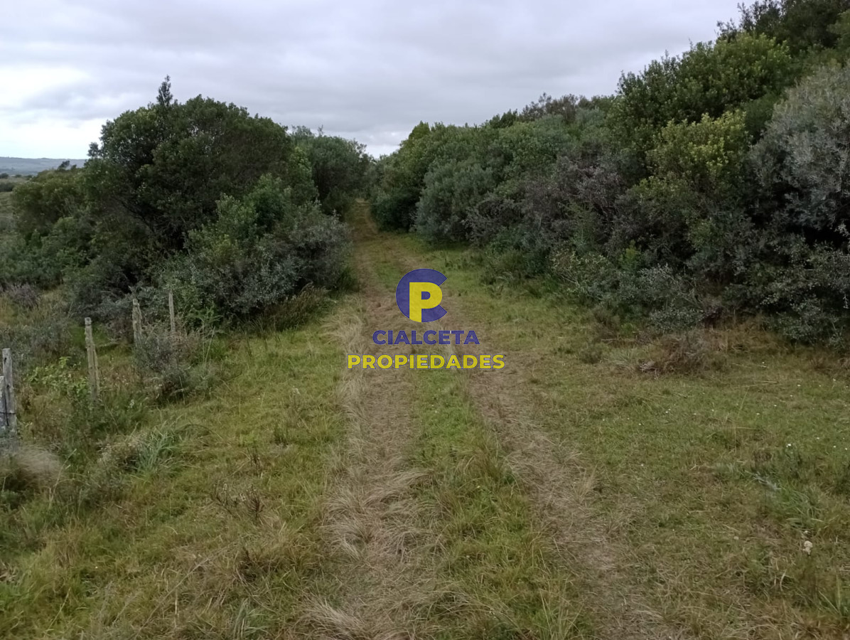 Campo Ref.195 - 48 hectáreas con 8 mil metros en Garzón