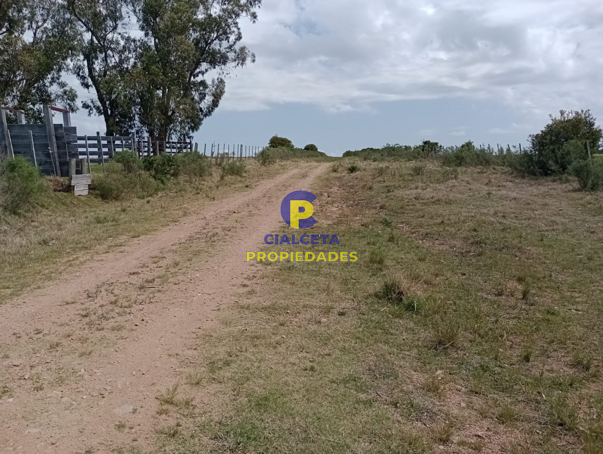 Campo Ref.315 - 28 hectáreas y media en Maldonado