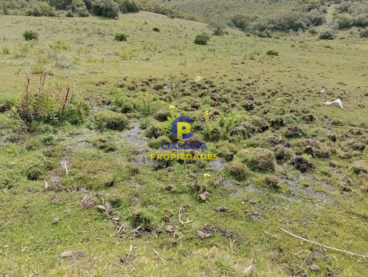 Campo Ref.317 - 55 hectáreas en Maldonado