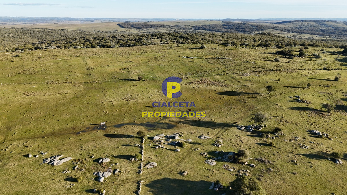 Campo Ref.512 - 55 hectáreas con tajamar y monte nativo