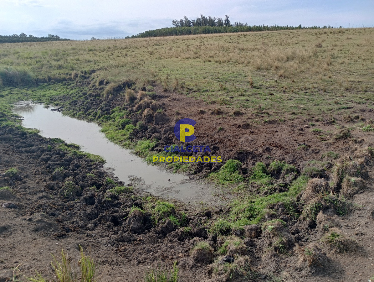 Campo Ref.190 - 228 hectáreas en lavalleja