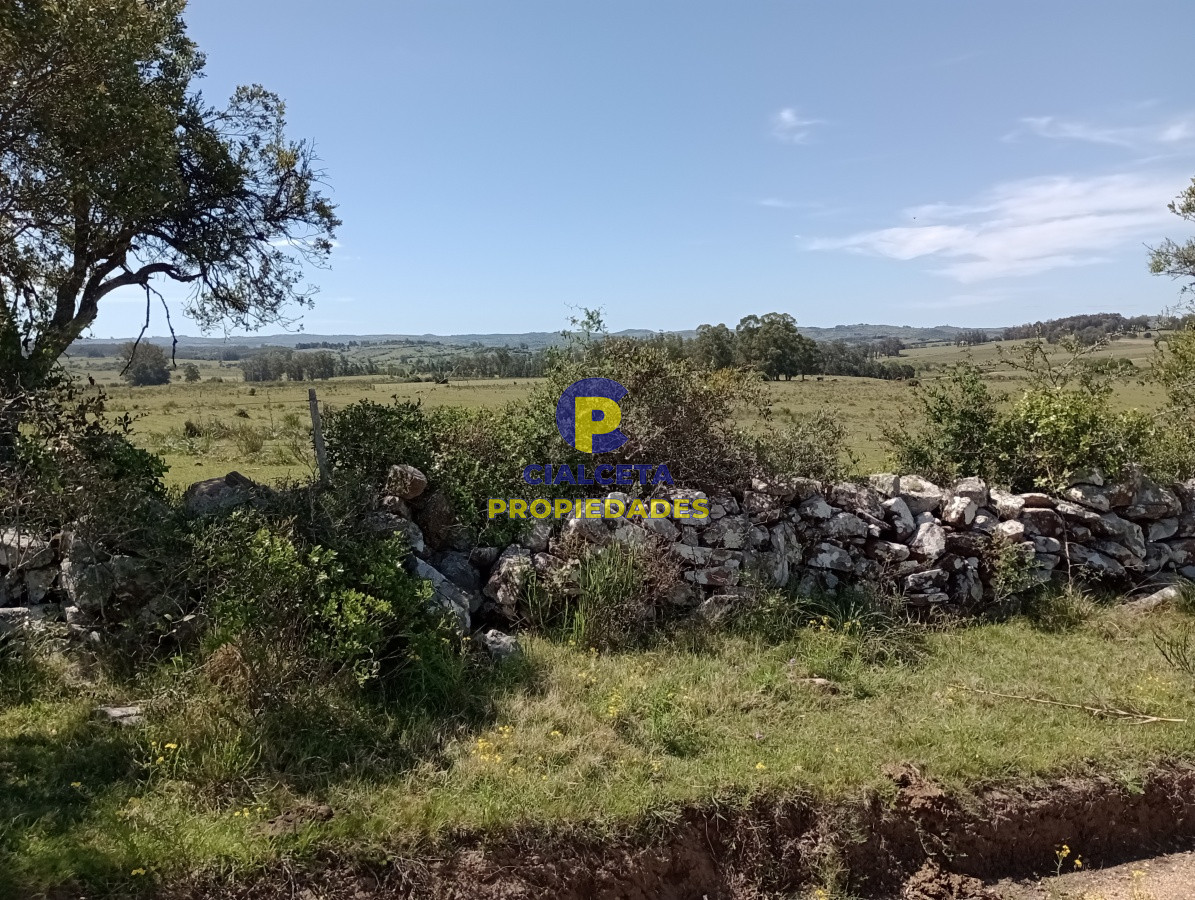 Campo Ref.209 - 5 hectáreas en Pueblo Edén
