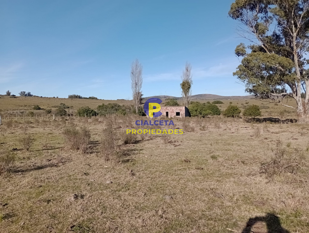 Campo Ref.298 - 82 hectáreas en Pueblo Edén