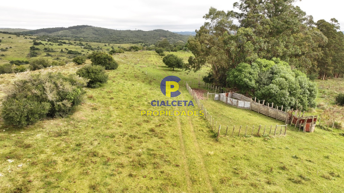 Campo Ref.426 - 116 hectáreas en Lavalleja
