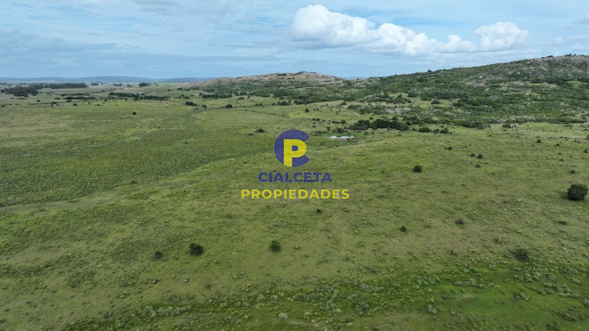 Campo Ref.400 - 61 hectáreas en Maldonado