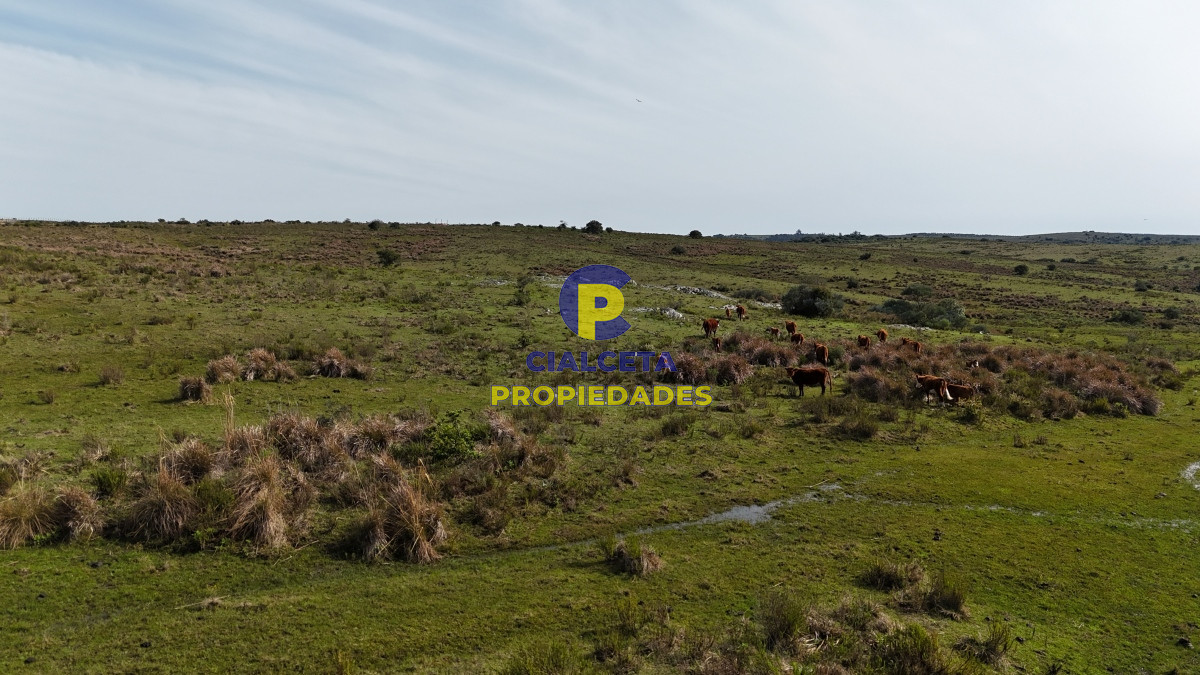 Campo Ref.518 - 3 hectáreas en Maldonado, entrega 14.800 y cuotas