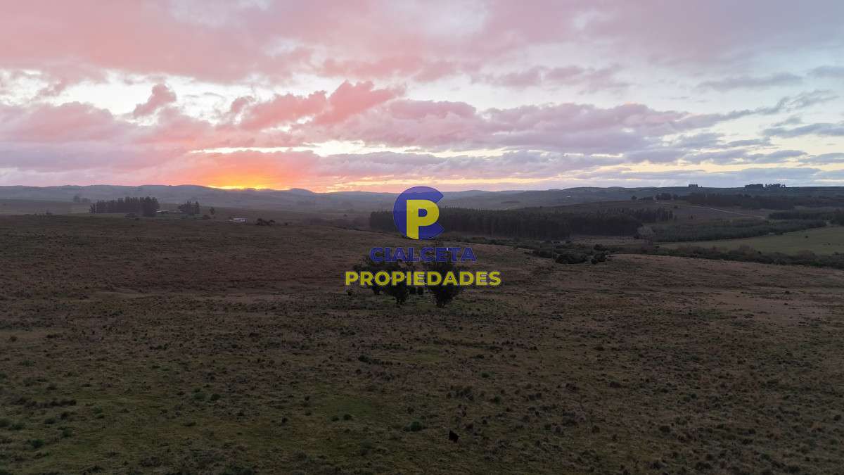 Campo Ref.461 - 60 hectáreas con arroyo y cañada en Maldonado