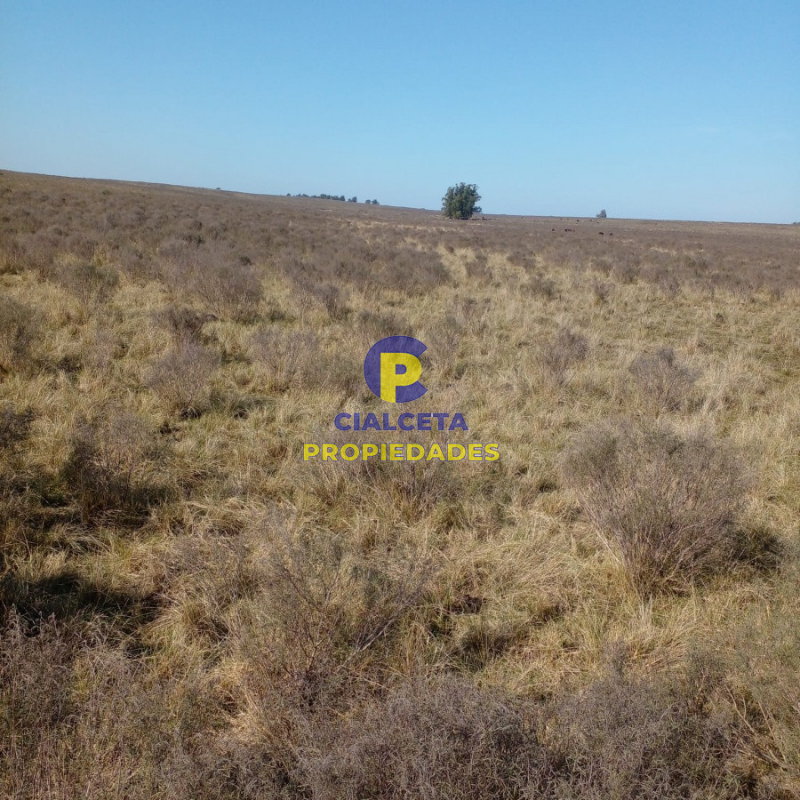 Campo Ref.97 - 130 hectáreas en Canelones