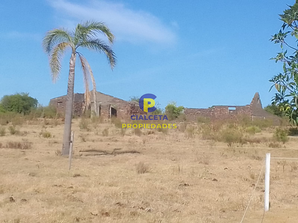 Campo Ref.88 - 330 hectáreas en Maldonado