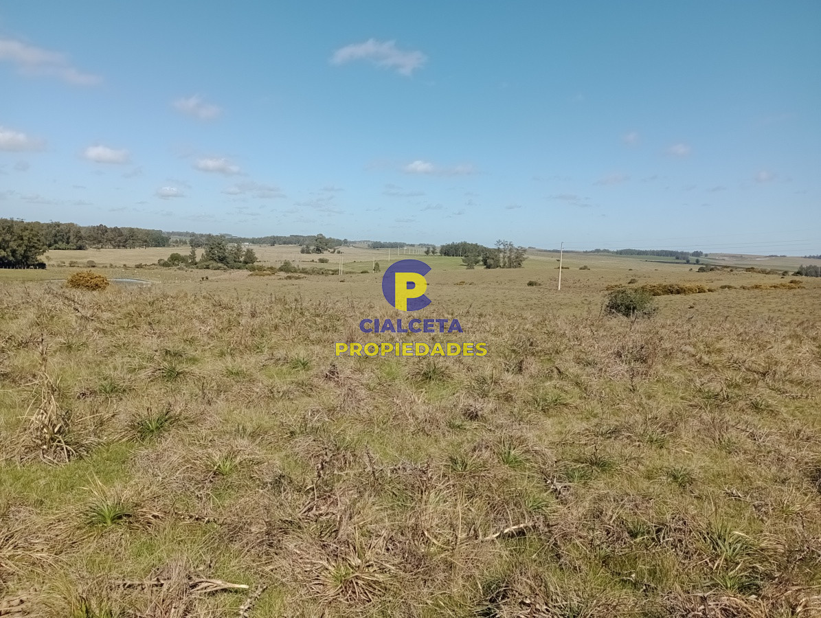 Campo Ref.98 - 125 hectáreas en Rocha