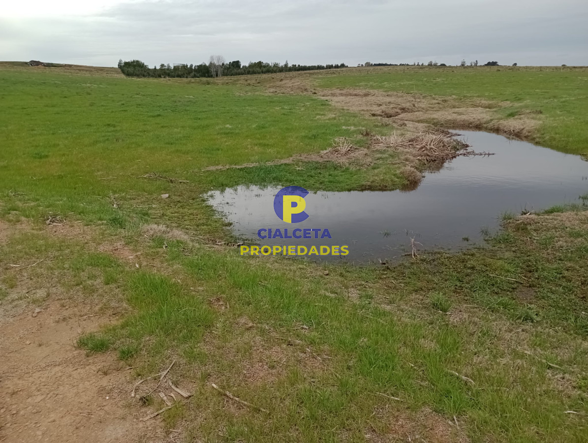 Campo Ref.293 - 15 hectáreas en Maldonado