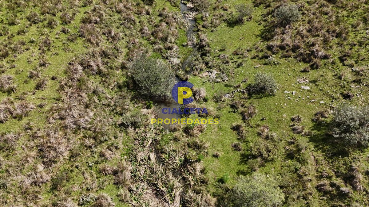 Campo Ref.534 - 3 hectáreas con cañada a 25 km de San Carlos, financiadas