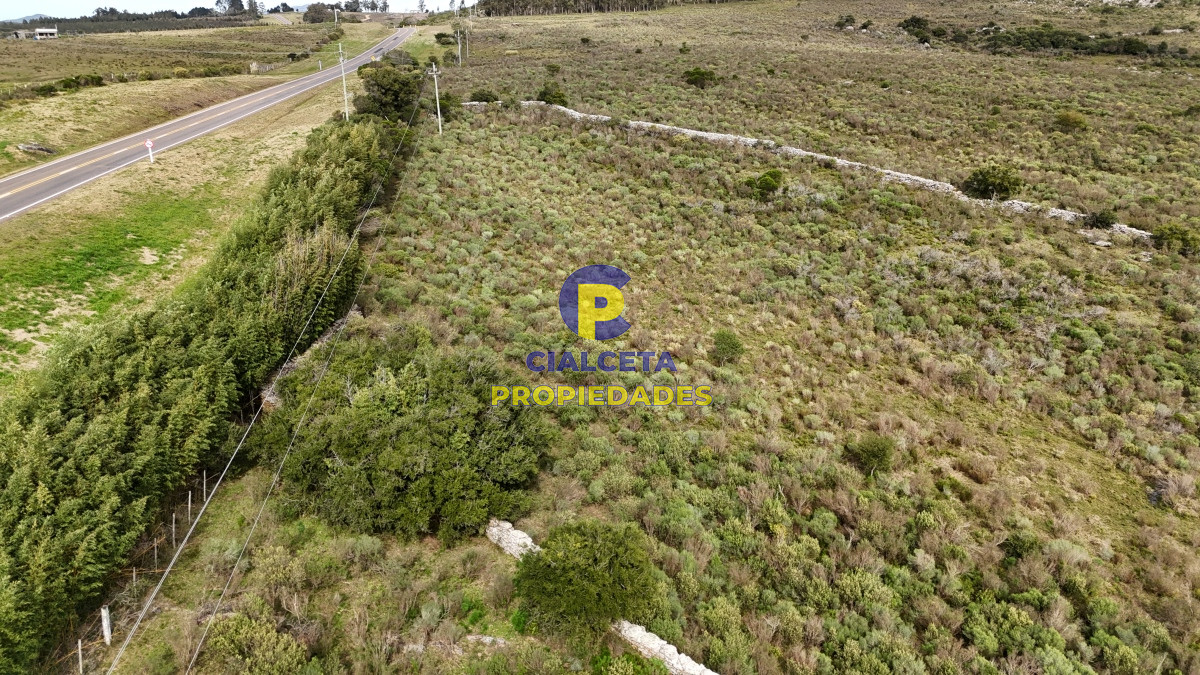 Campo Ref.508 - 31 hectáreas con casa , cerro y buen acceso