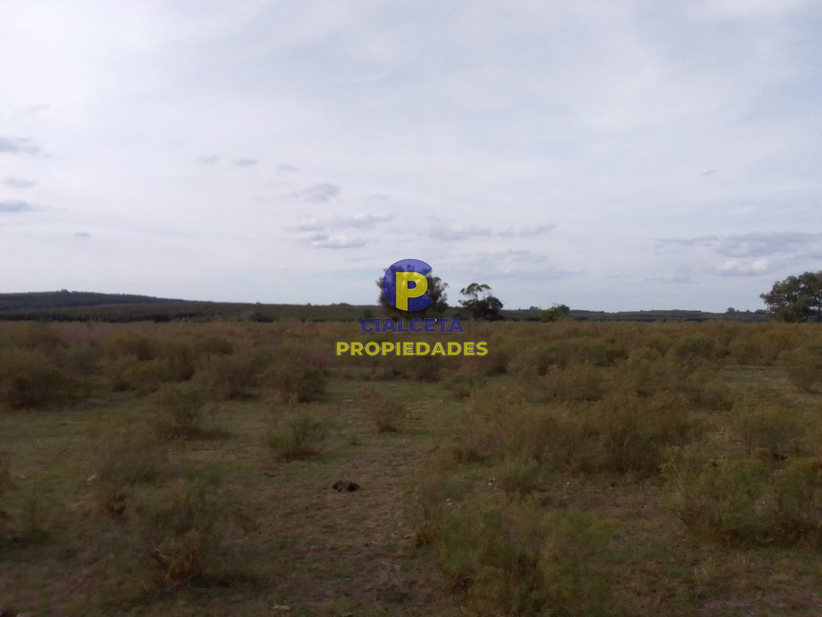 Campo Ref.138 - 33 hectáreas en Lavalleja
