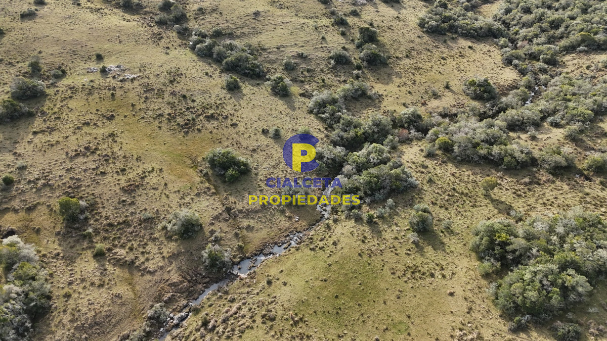 Campo Ref.510 - 95 hectáreas en Maldonado con cañada
