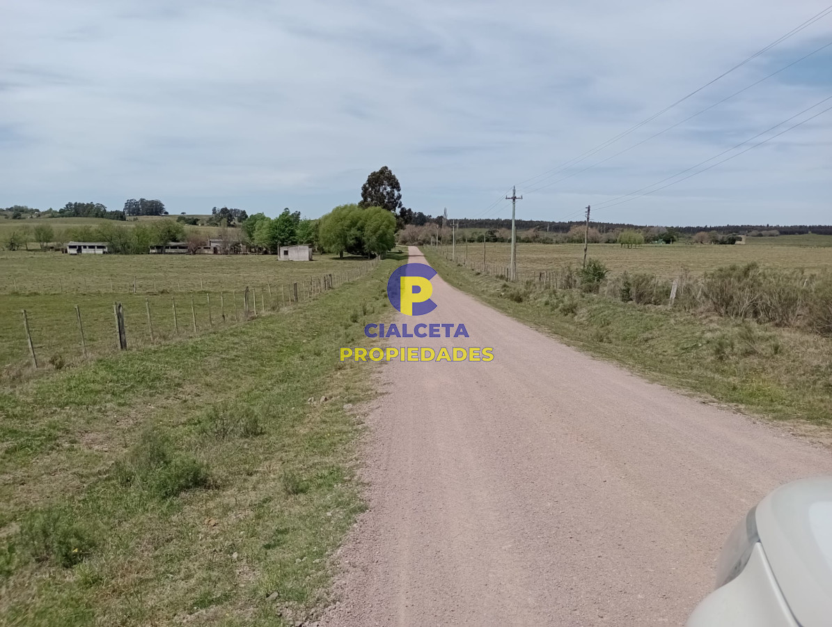 Campo Ref.313 - 73 hectáreas en Canelones