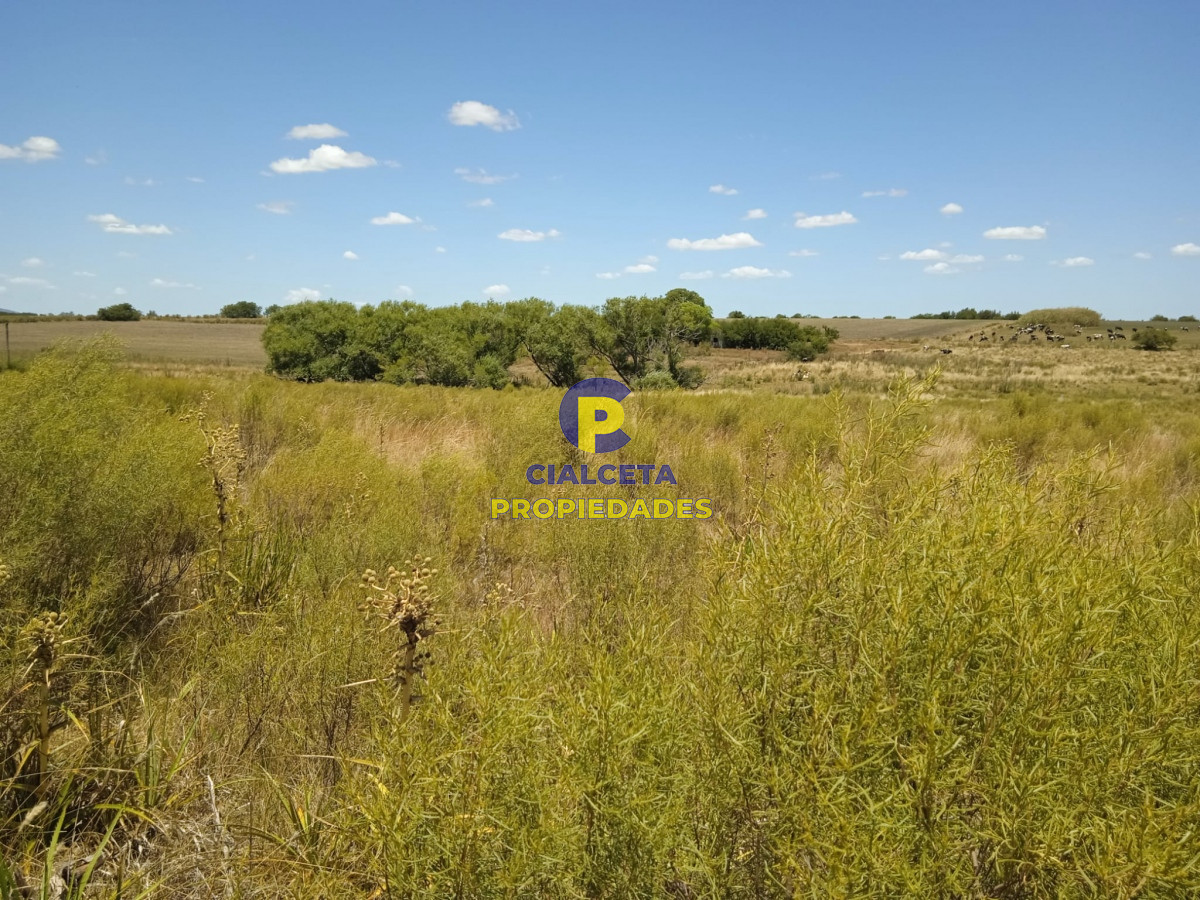 Campo Ref.273 - 23 hectáreas en Lavalleja con arroyo