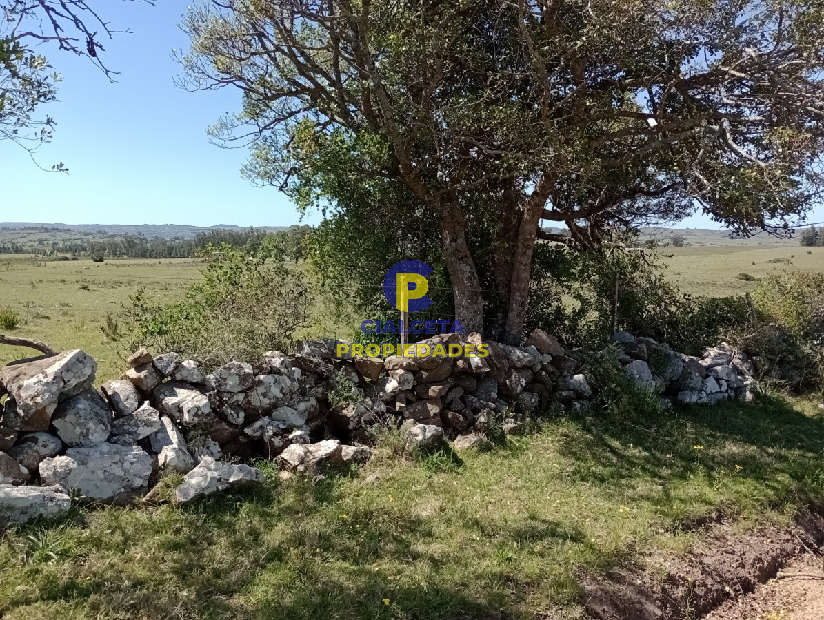 Campo Ref.209 - 5 hectáreas en Pueblo Edén