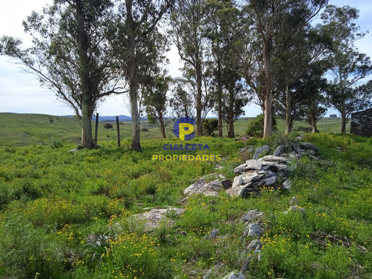 Campo Ref.106 - 79 hectáreas en Lavalleja, ideal fraccionamiento