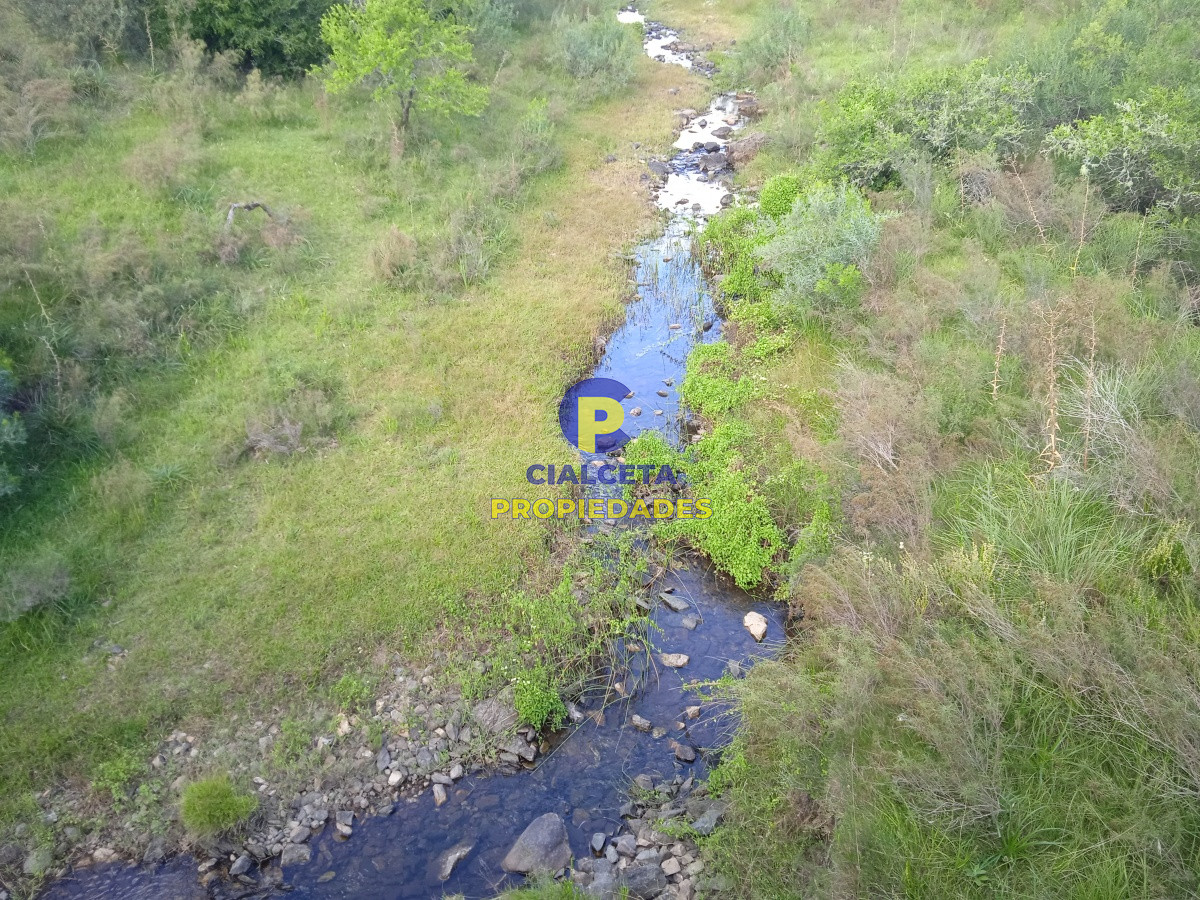 Campo Ref.74 - Propiedad única a la venta