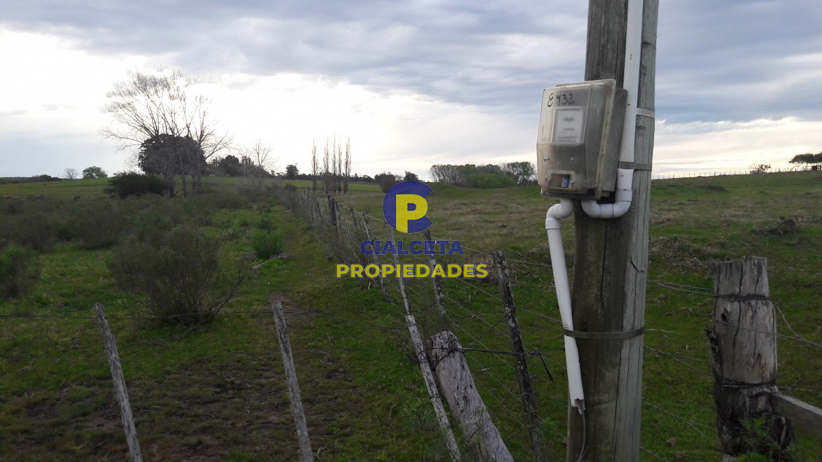 Campo Ref.211 - 8 hectáreas con casa y caballerizas