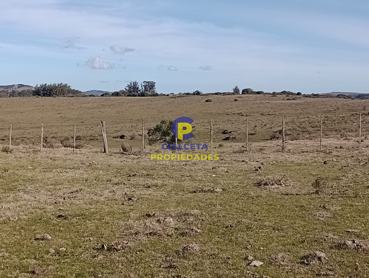 Campo Ref.298 - 82 hectáreas en Pueblo Edén