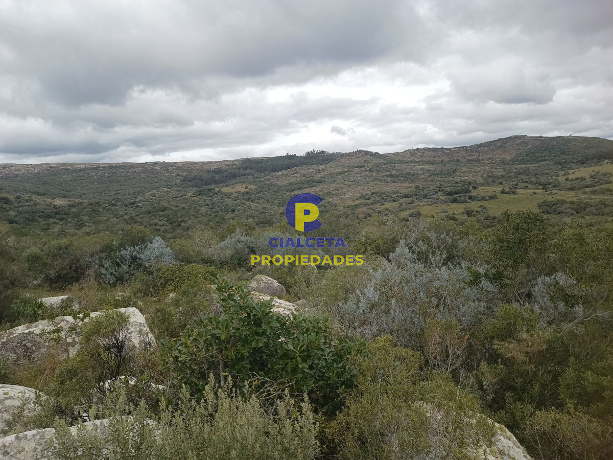 Campo Ref.440 - 38 hectáreas en Aiguá