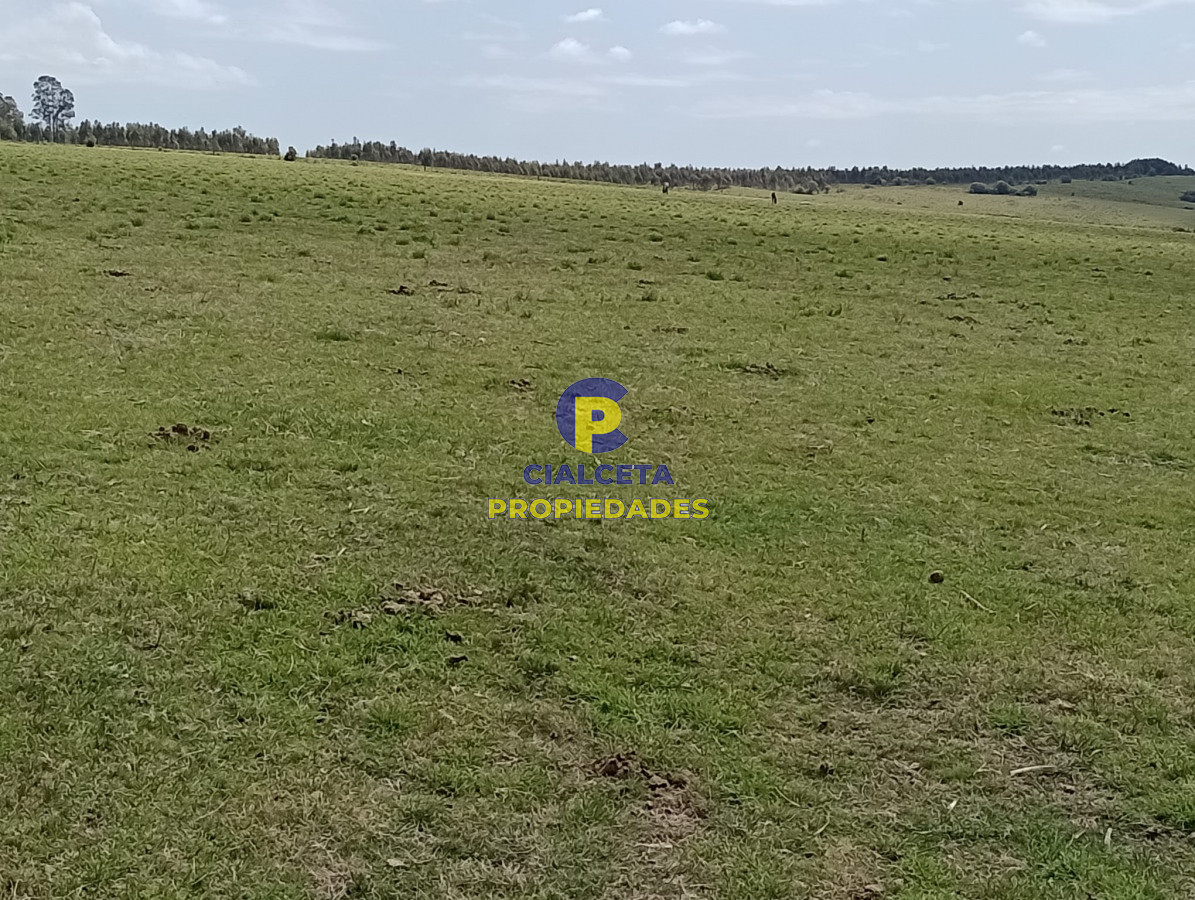 Campo Ref.315 - 28 hectáreas y media en Maldonado