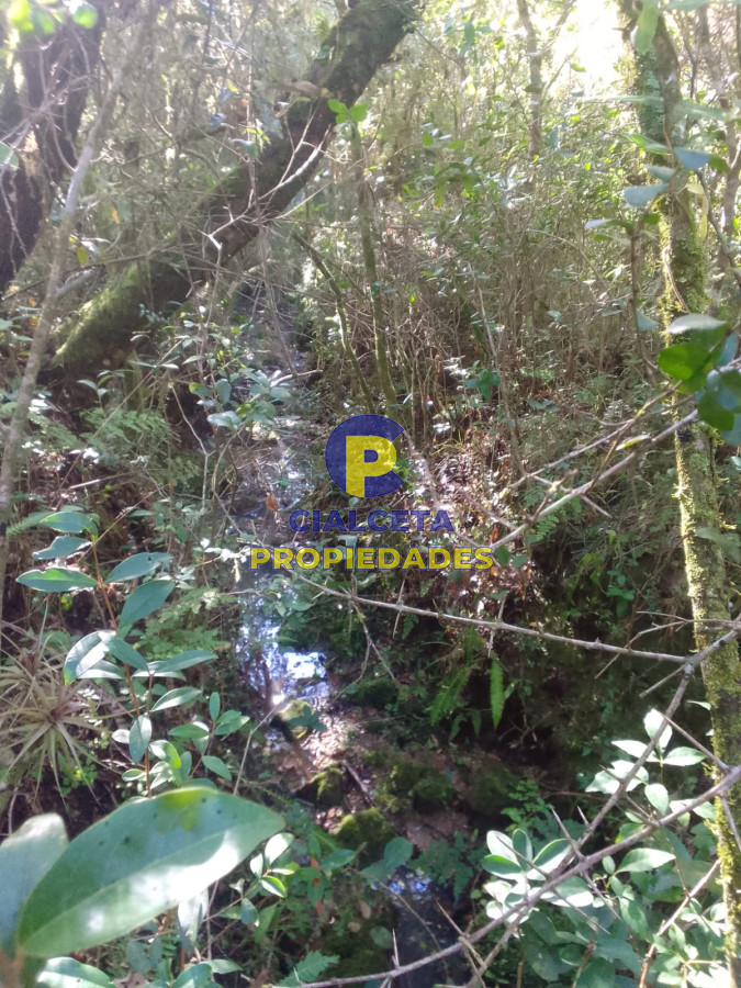Campo Ref.398 - 41 hectáreas y media en Maldonado, Aigua