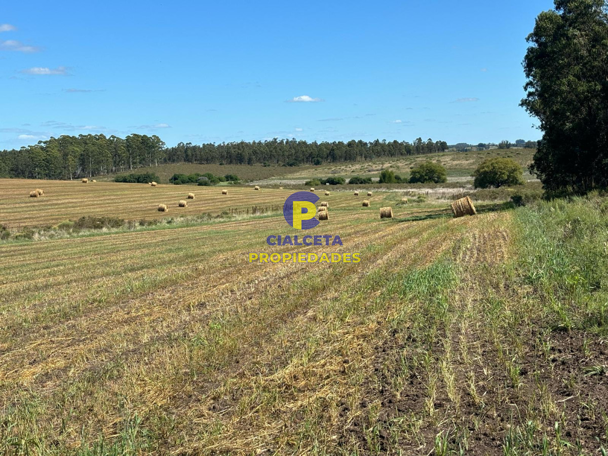 Campo Ref.567 - Linda fracción de 16 hectáreas y media con casa y galpón, buen acceso