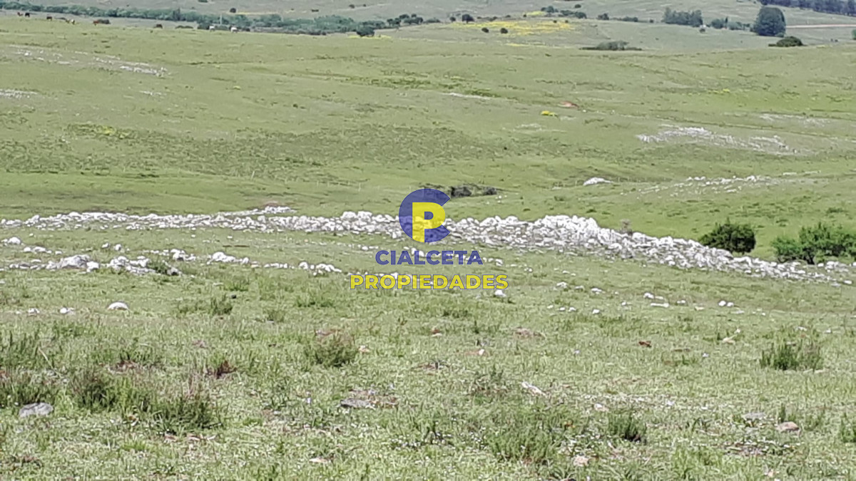 Campo Ref.323 - 115 hectáreas en Lavalleja