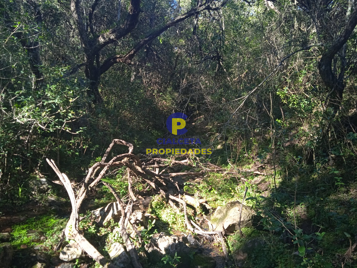 Campo Ref.52 - 5 hectáreas, Las Palmas