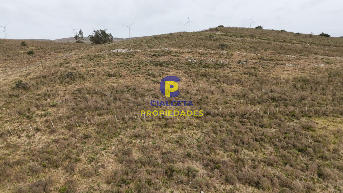 Campo Ref.502 - 86 hectáreas en Maldonado, con aguada, monte y cerro