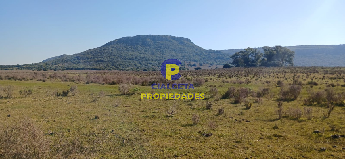 Campo Ref.475 - 386 hectáreas en Maldonado