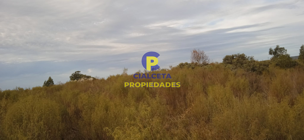 Campo Ref.50 - 5 hectáreas, entrega 8.000 U$S y cuotas de 593 U$S