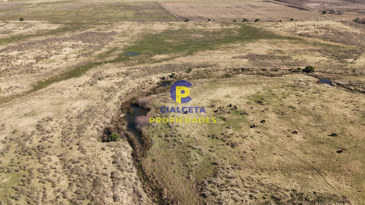 92 hectáreas con cañada y buen acceso - GoPunta - Portal Inmobiliario de Punta del Este - Maldonado