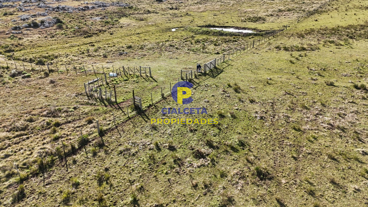 Campo Ref.465 - 24 hectáreas en Lavalleja, a 6 km de Villa Serrana