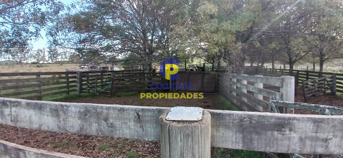 49 hectáreas en Lavalleja - GoPunta - Portal Inmobiliario de Punta del Este - Maldonado