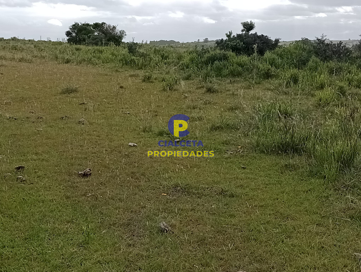 Campo Ref.358 - 198 hectáreas en Garzón