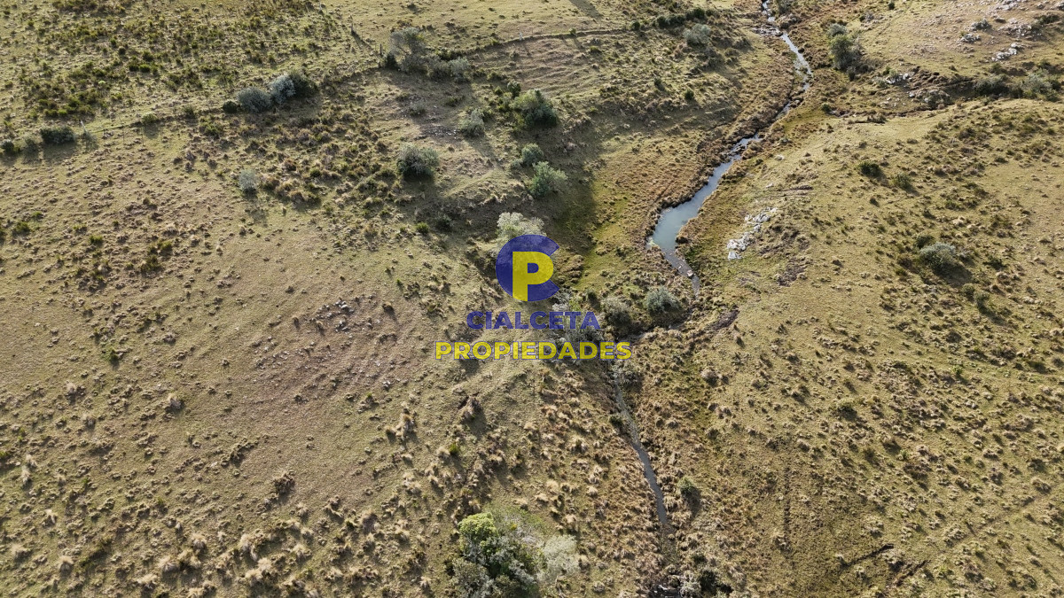 Campo Ref.510 - 95 hectáreas en Maldonado con cañada