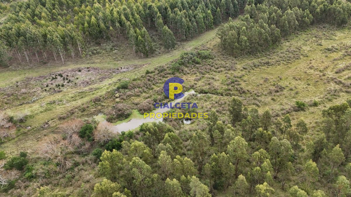 Campo Ref.449 - 39 hectáreas y media en Canelones